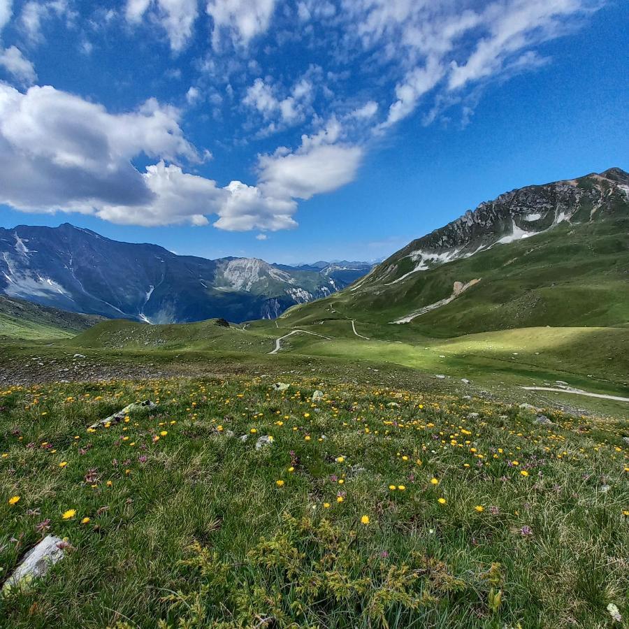 Апартаменты Les Campanules Бур-Сен-Морис Экстерьер фото