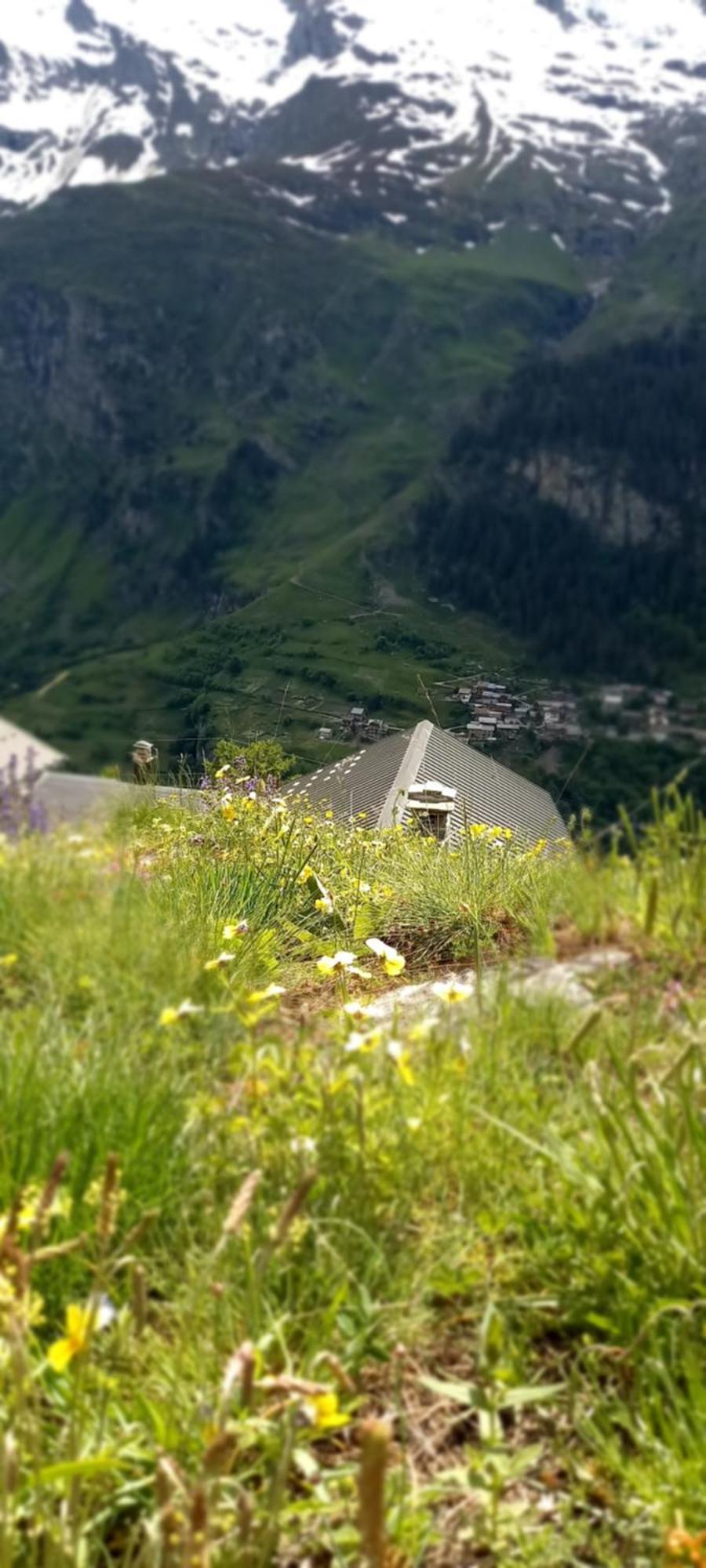 Апартаменты Les Campanules Бур-Сен-Морис Экстерьер фото
